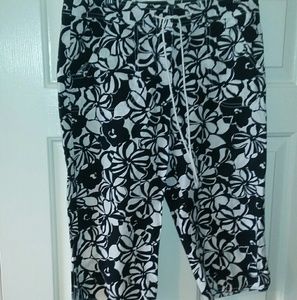 Loft shorts